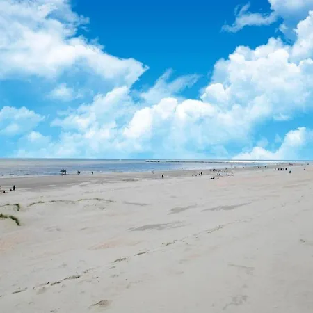 By Sea And Dunes With Terrace, Cleaning Included *