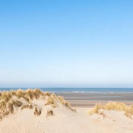 By Sea And Dunes With Terrace, Cleaning Included Apartamento Oostduinkerke